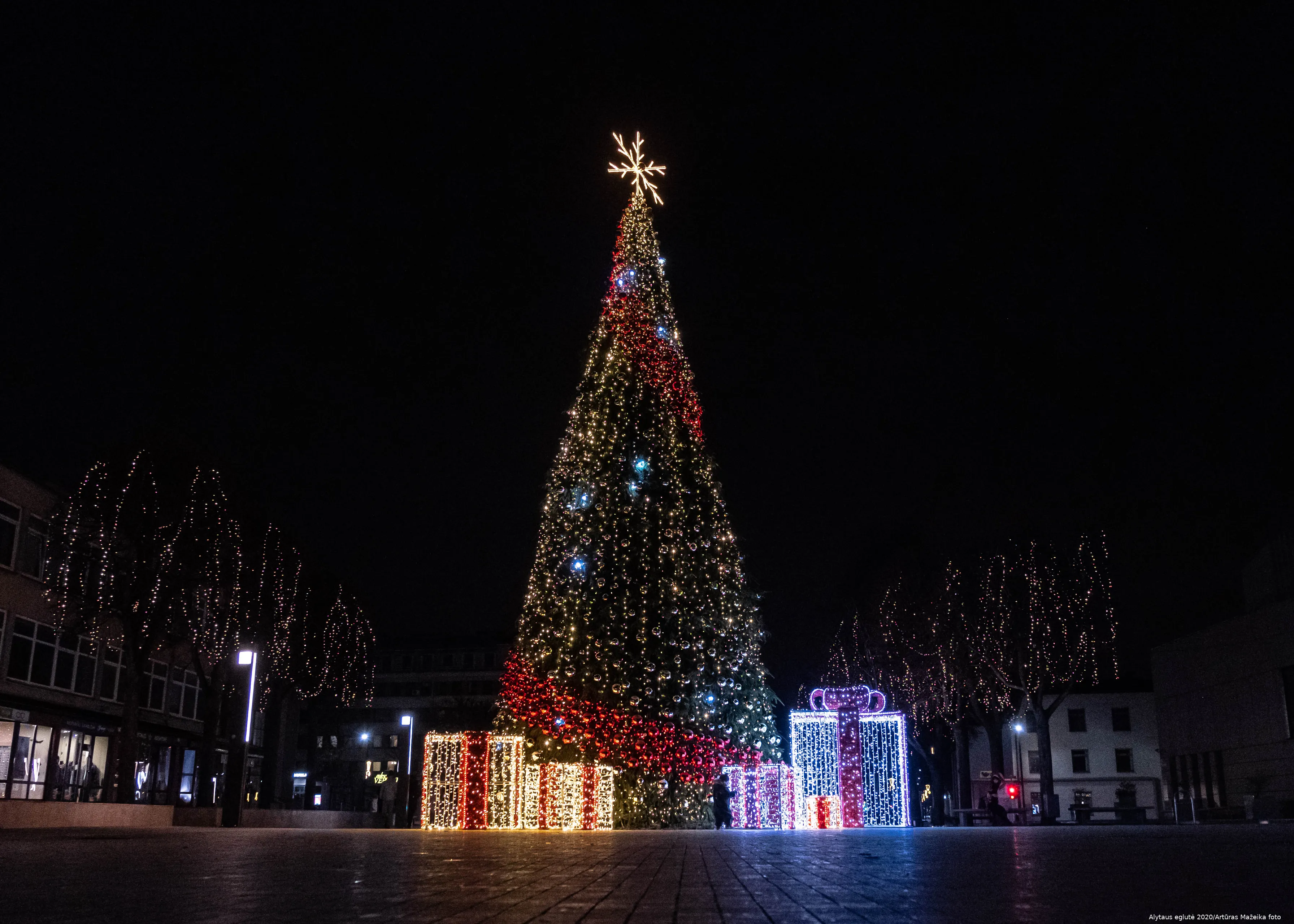 alytaus eglute 2020 arturas mazeika 2