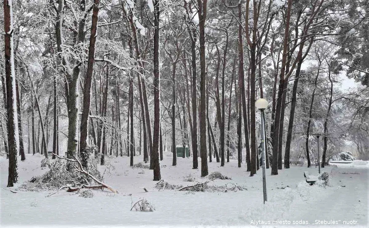 miesto sodasimones stsssebule nuotr 3