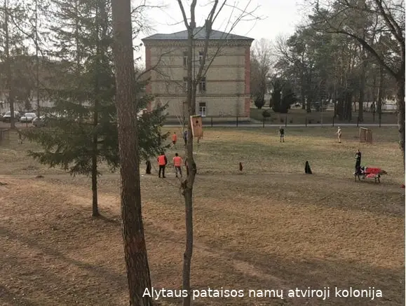 zonatvirfutbl