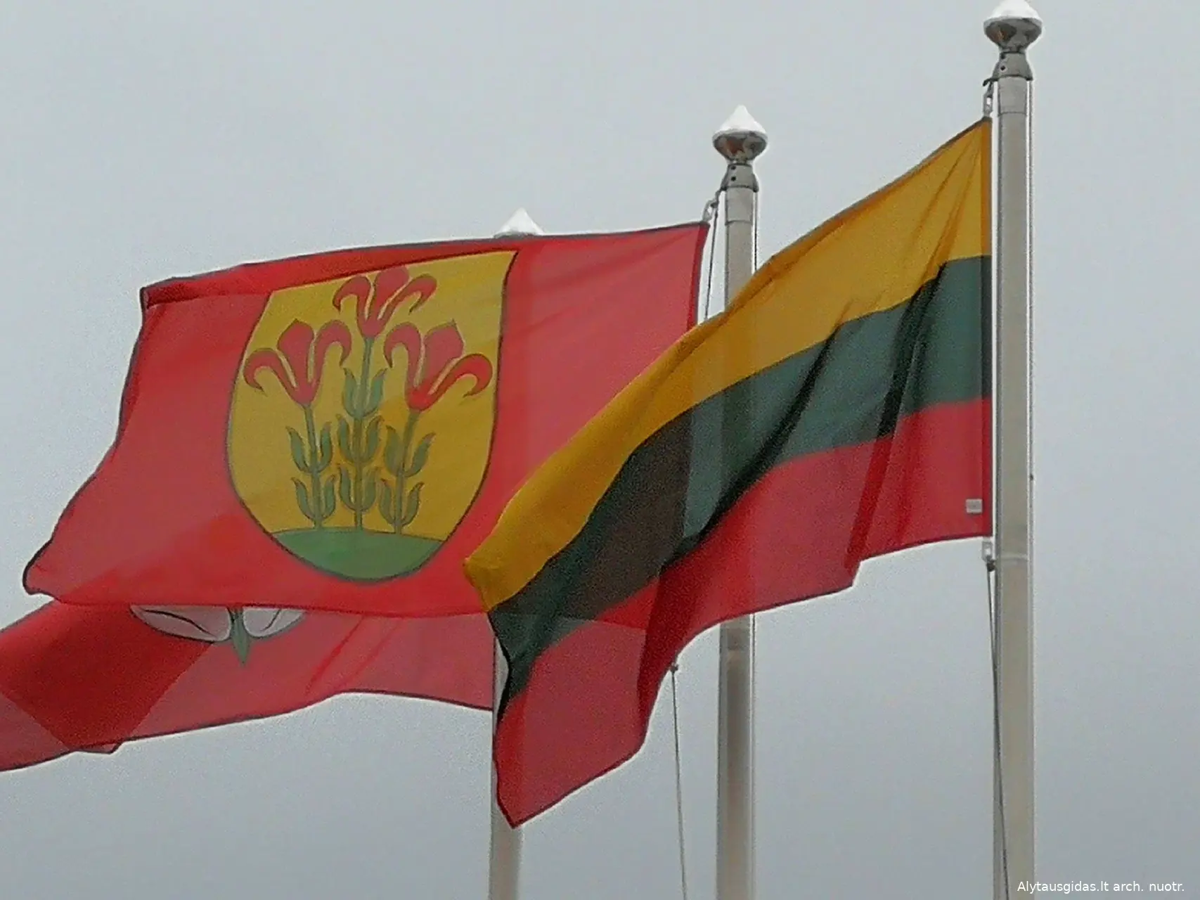 arsamsa