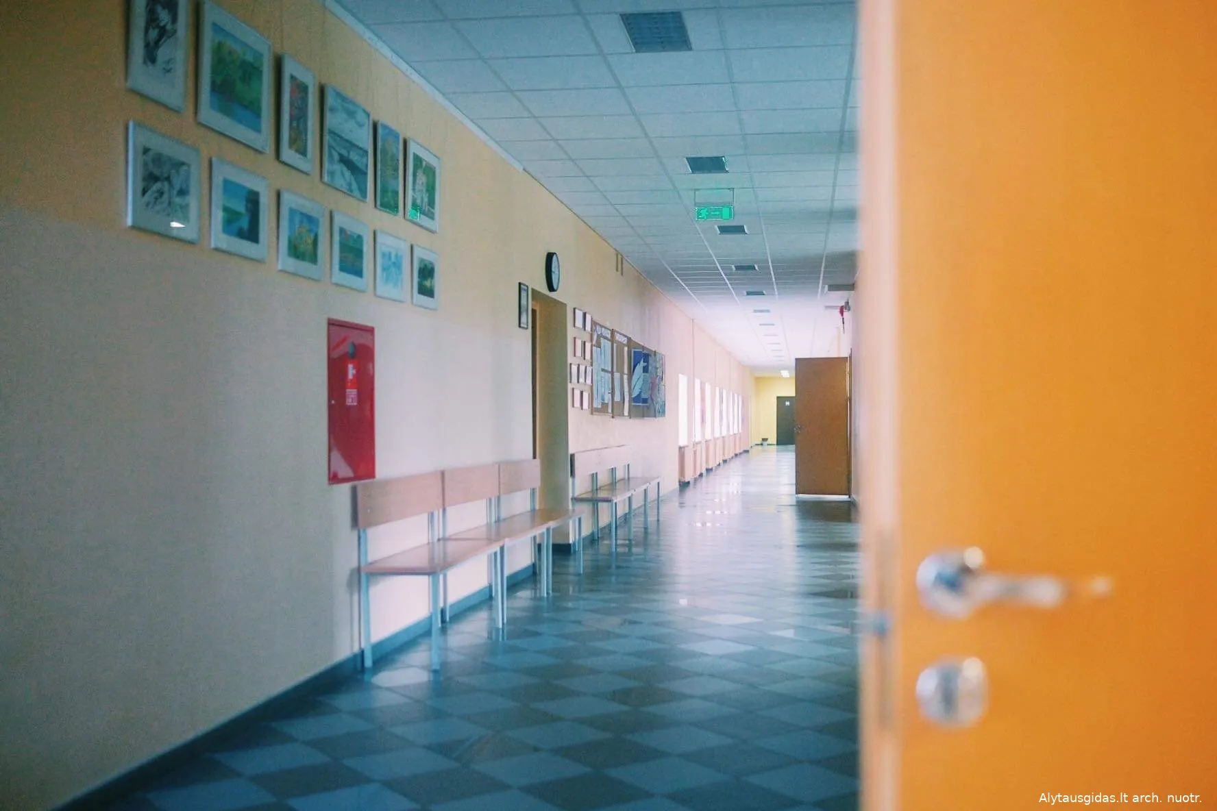 korid70397569 2410723449016488 2358912758994436096 o