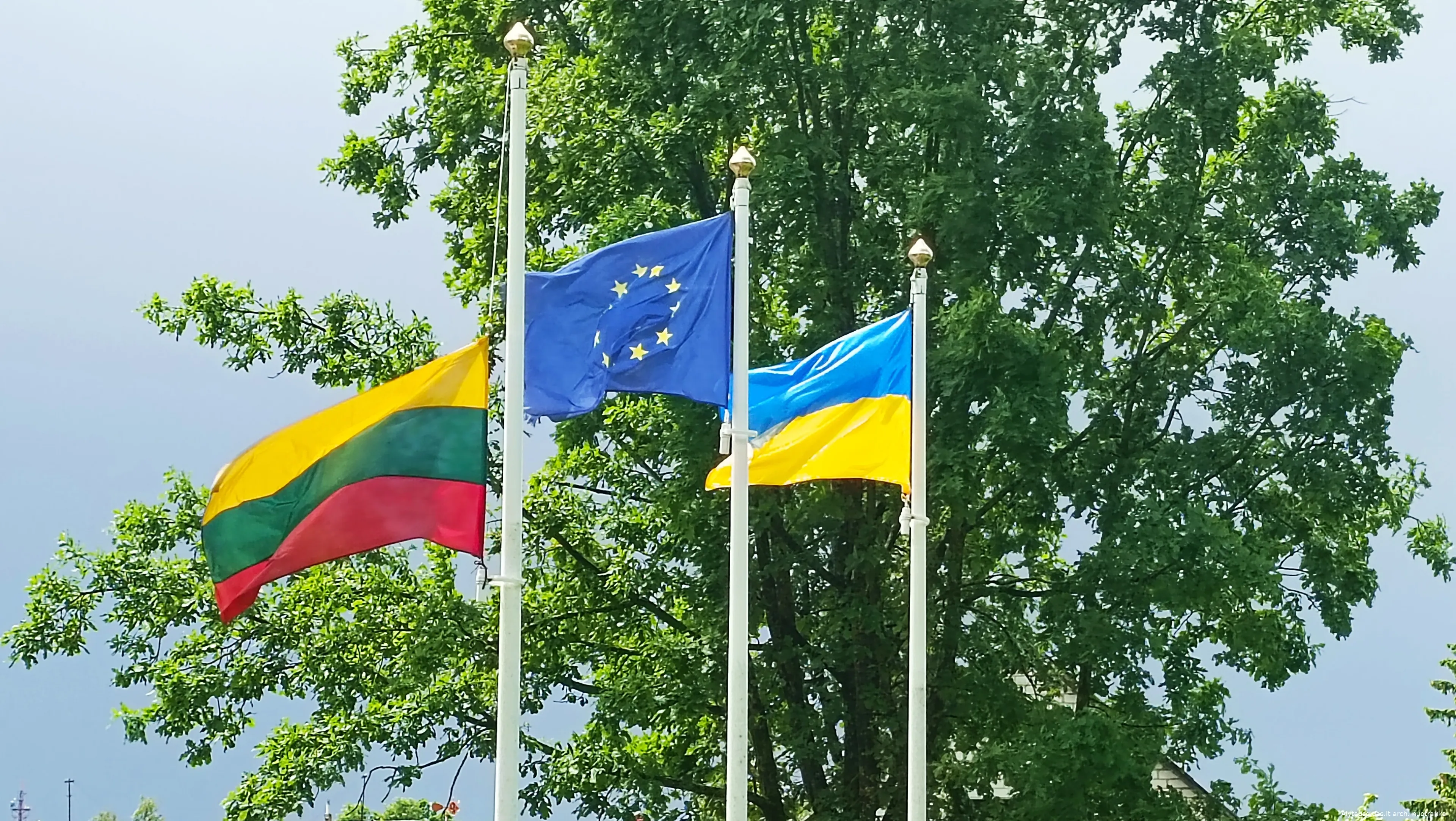 ukrvel1655445046565 kopija