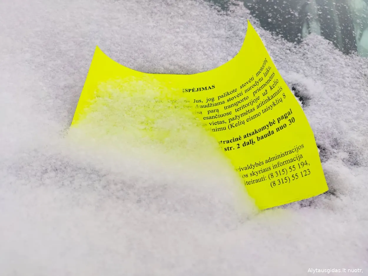 147712268 784657509071781 7846217586646840503 n