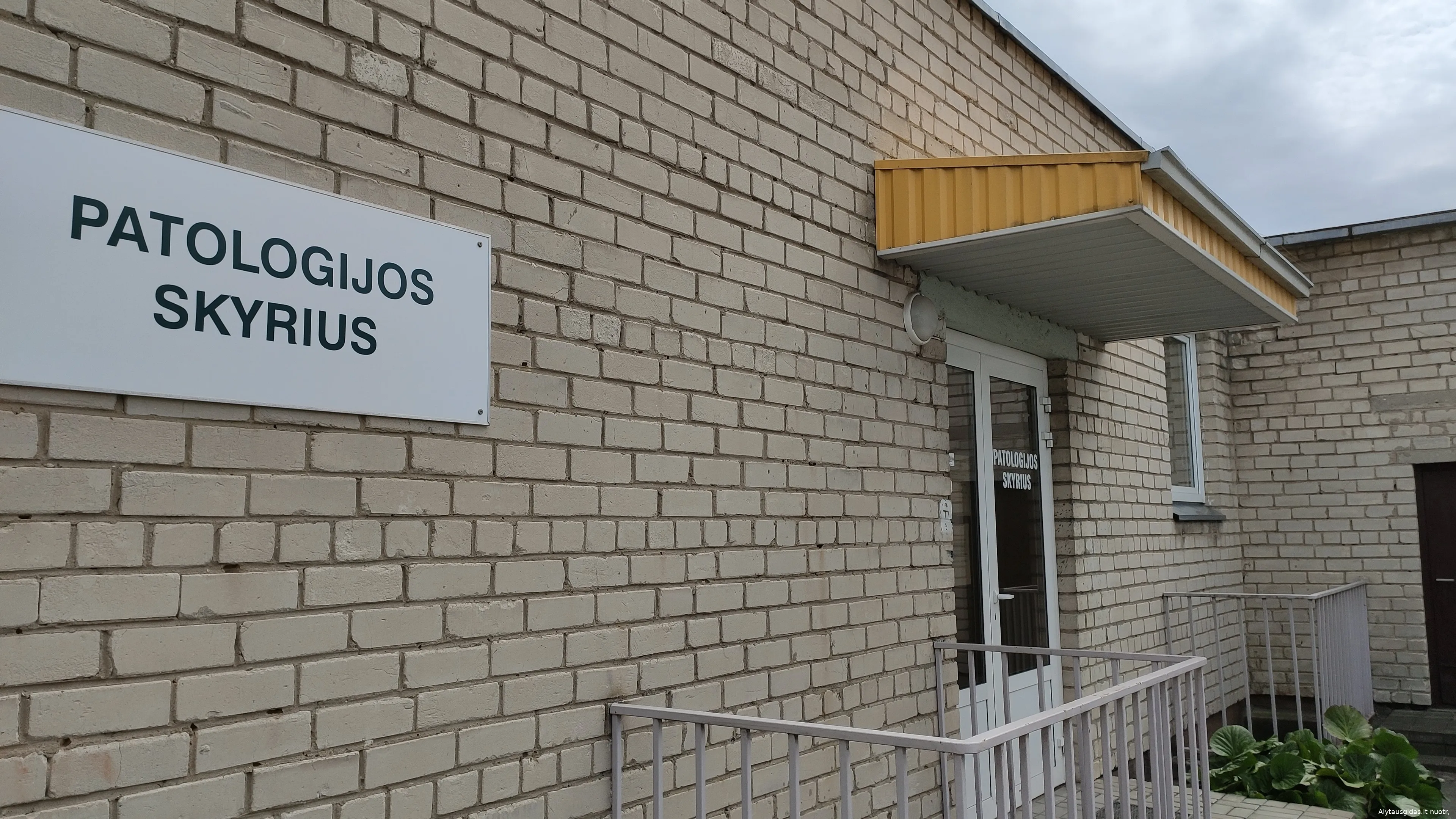 patologimg 20200530 134208