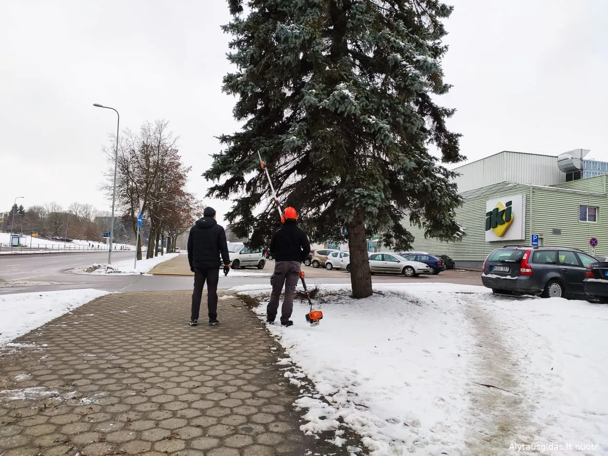 137277359 407568750576344 1990327189591384372 n