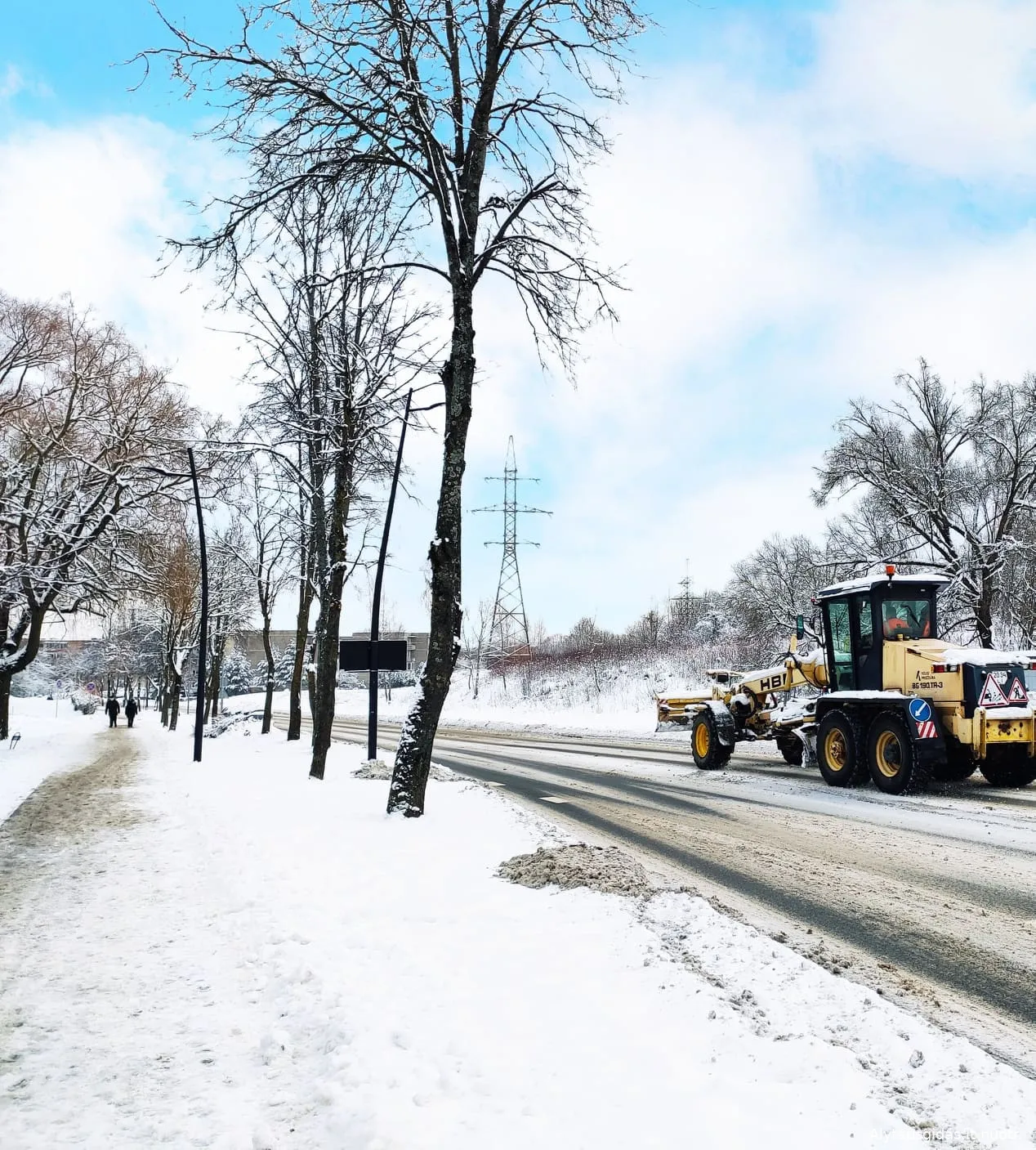 138775505 203268331487542 7810783275592540875 n