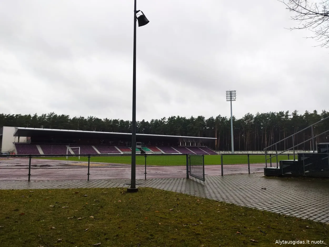 174228689 369929364254114 4957187639647505126 n