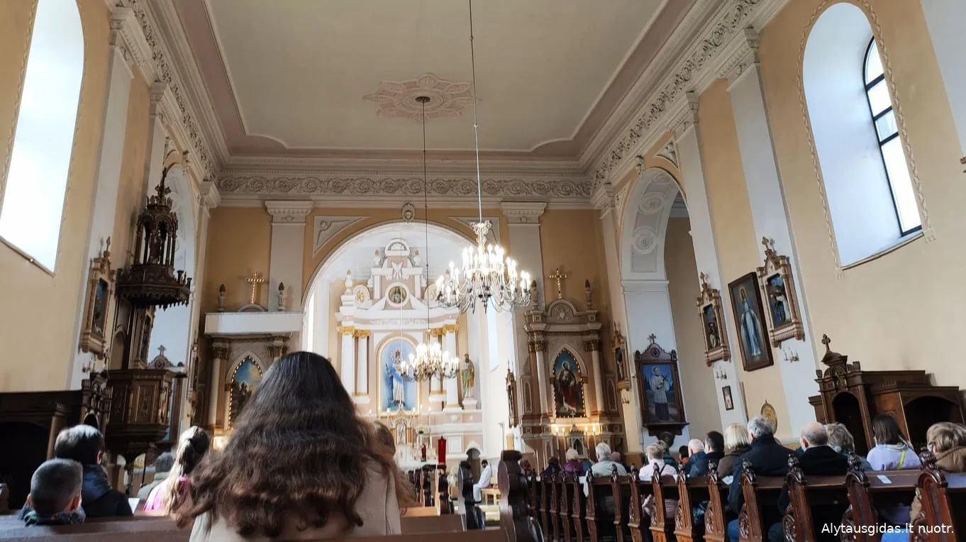 175067338 276522964132857 2307477020171517981 n