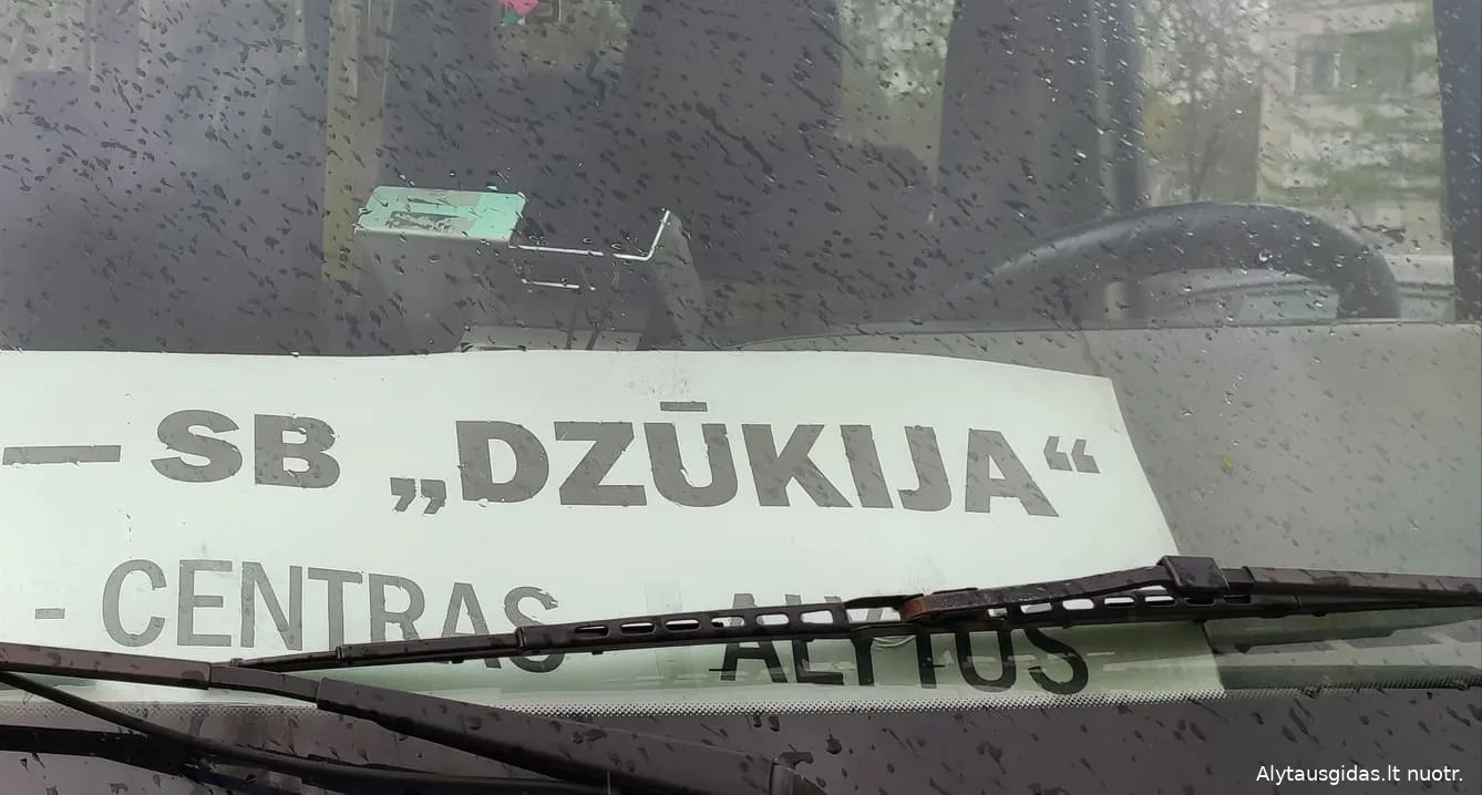 191585576 795370757646752 8259629481968445796 n