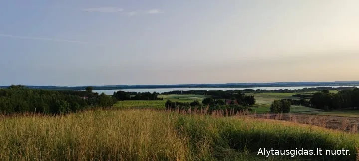 228540665 384533516339978 9302533392144333 n