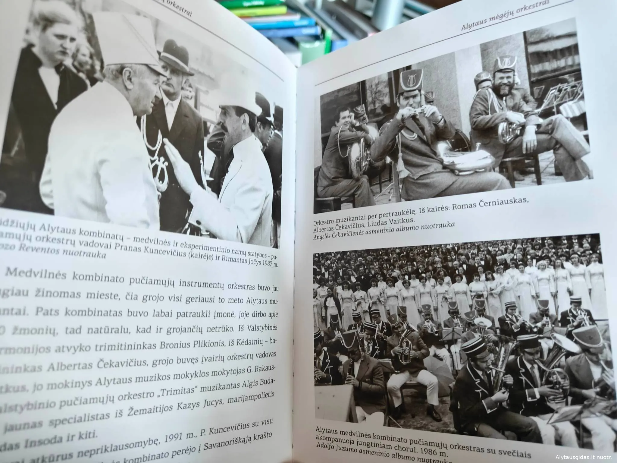 336207066 552468633387801 3125486985275663376 n