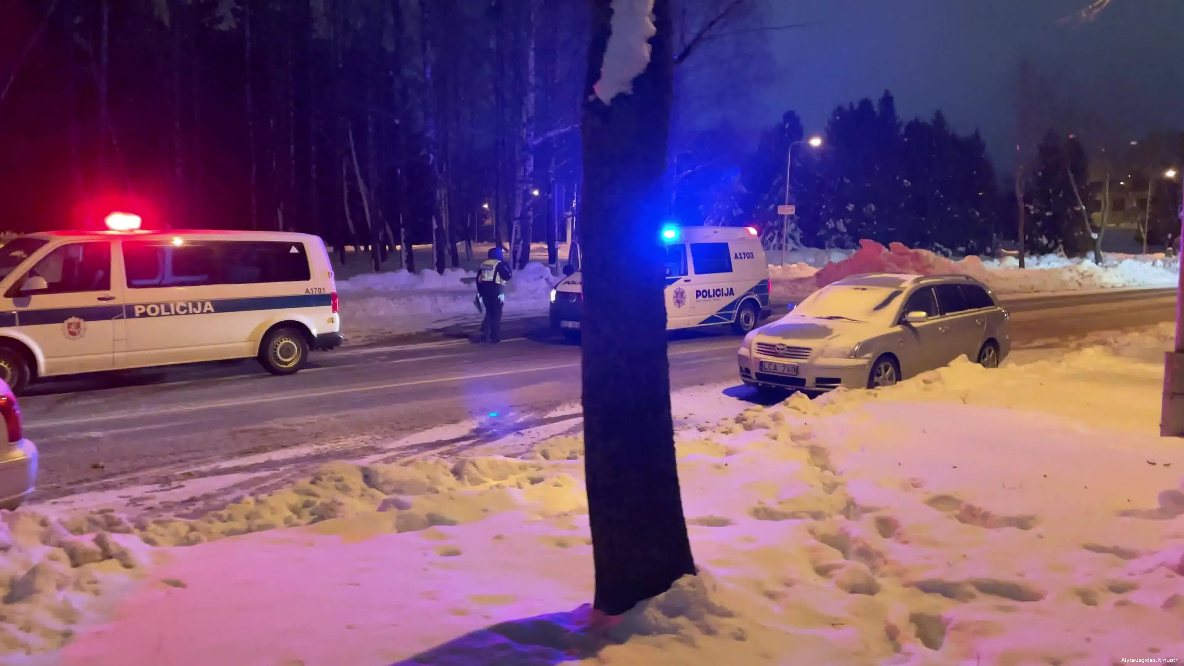 avazuv142363363 732629250972949 5968990486512919948 n