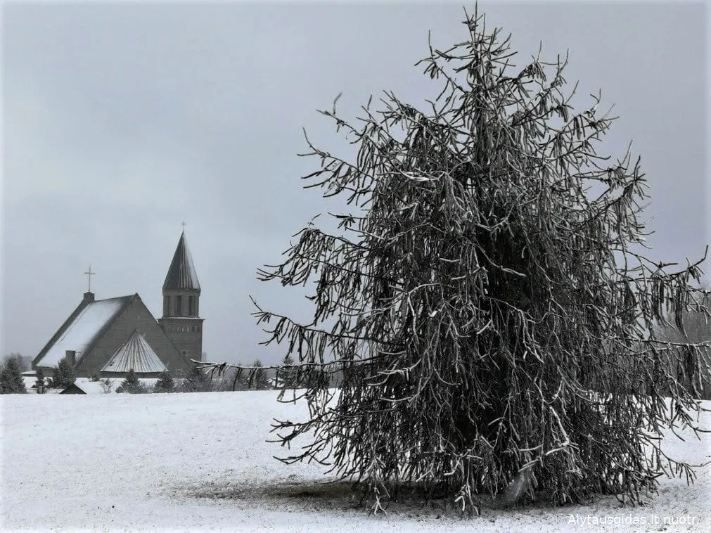 baziemimg 20190326sss 154510