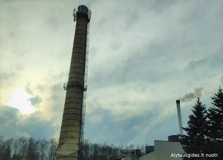 birstimg 20200301 151812s