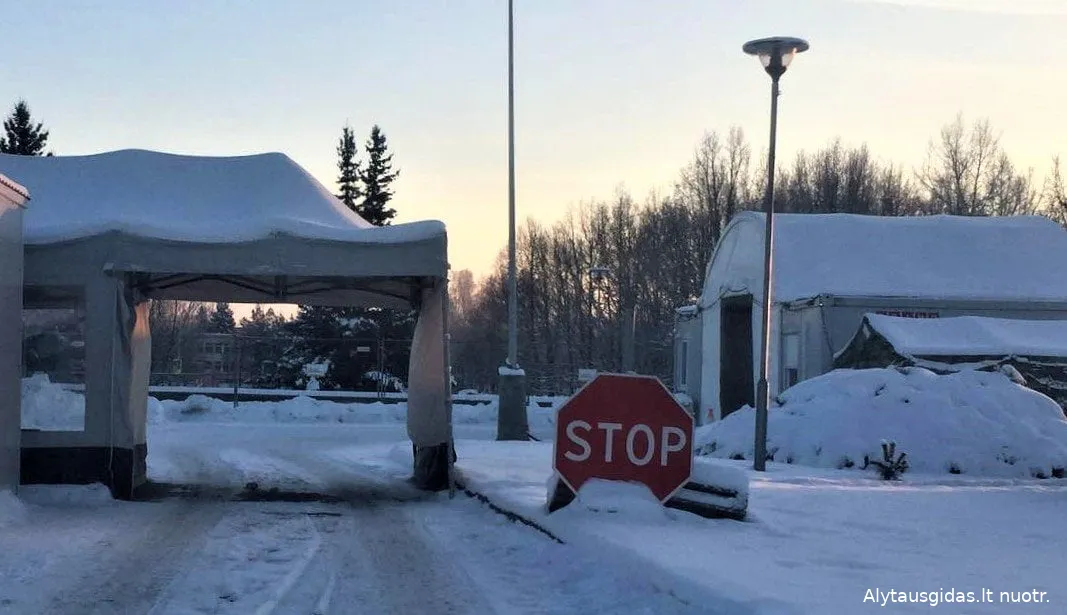 covo139502384 919405278802994 685281654539356580 n