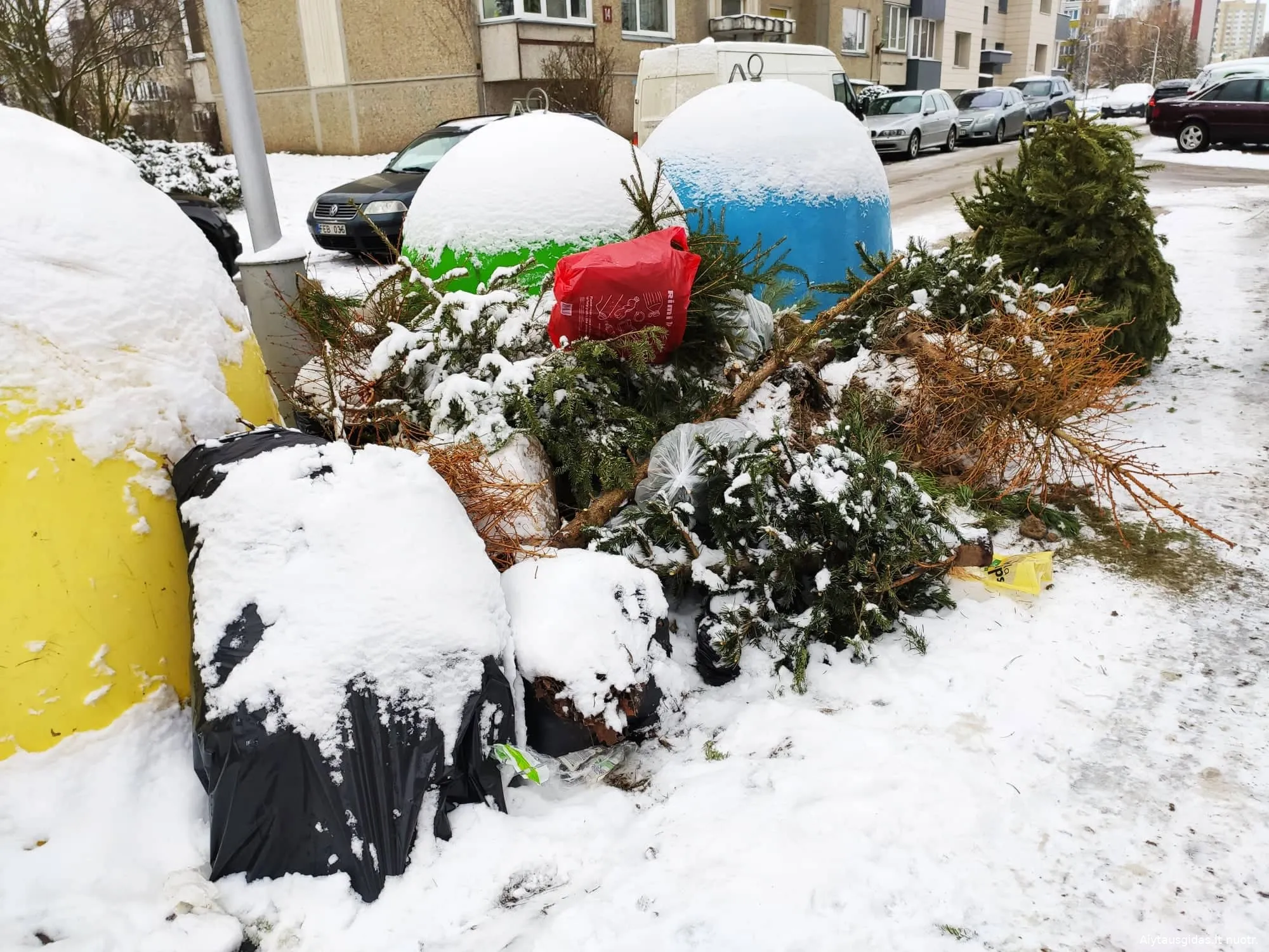 egl137232310 407239797166933 6818307192191717435 n