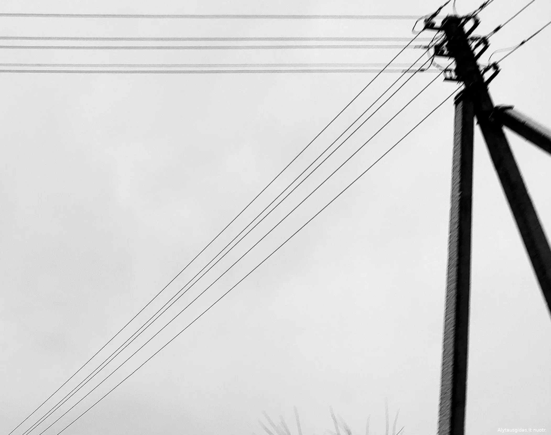 img 20210110 1502582