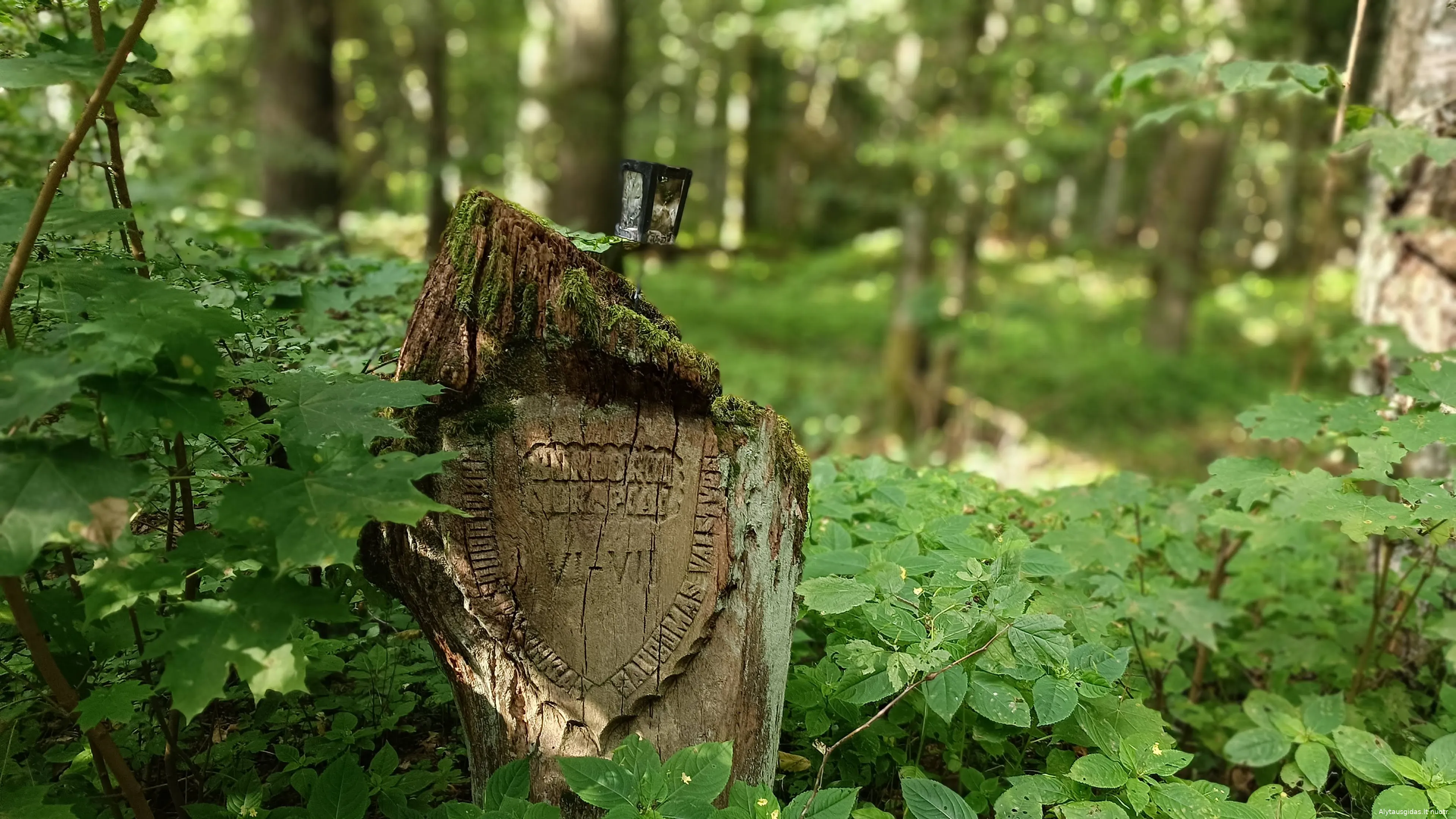 img 20230813 170346 1