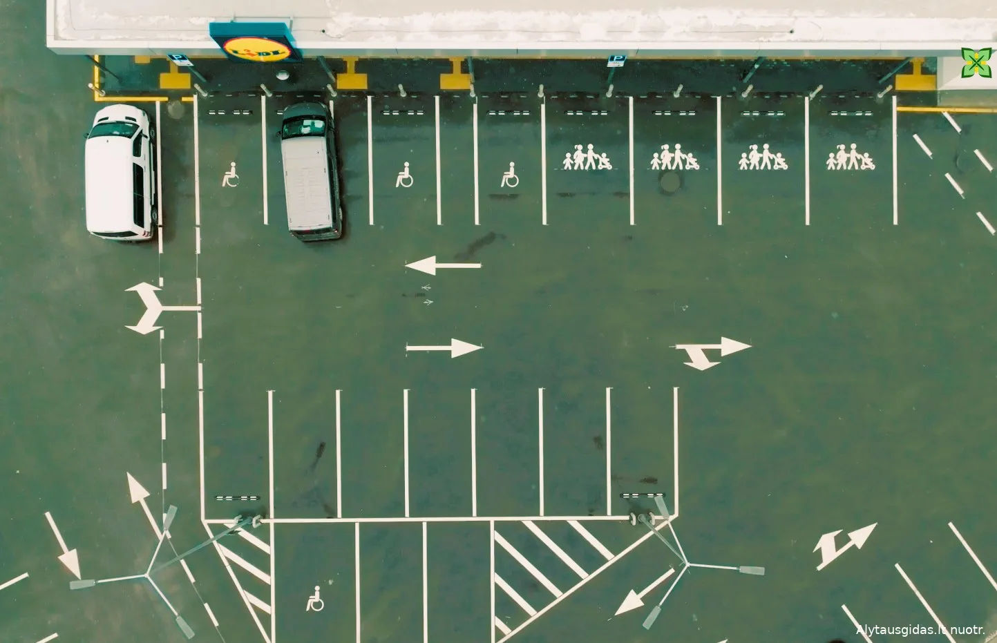 lidlalytaus gidas intro00 00 29 19still180 1