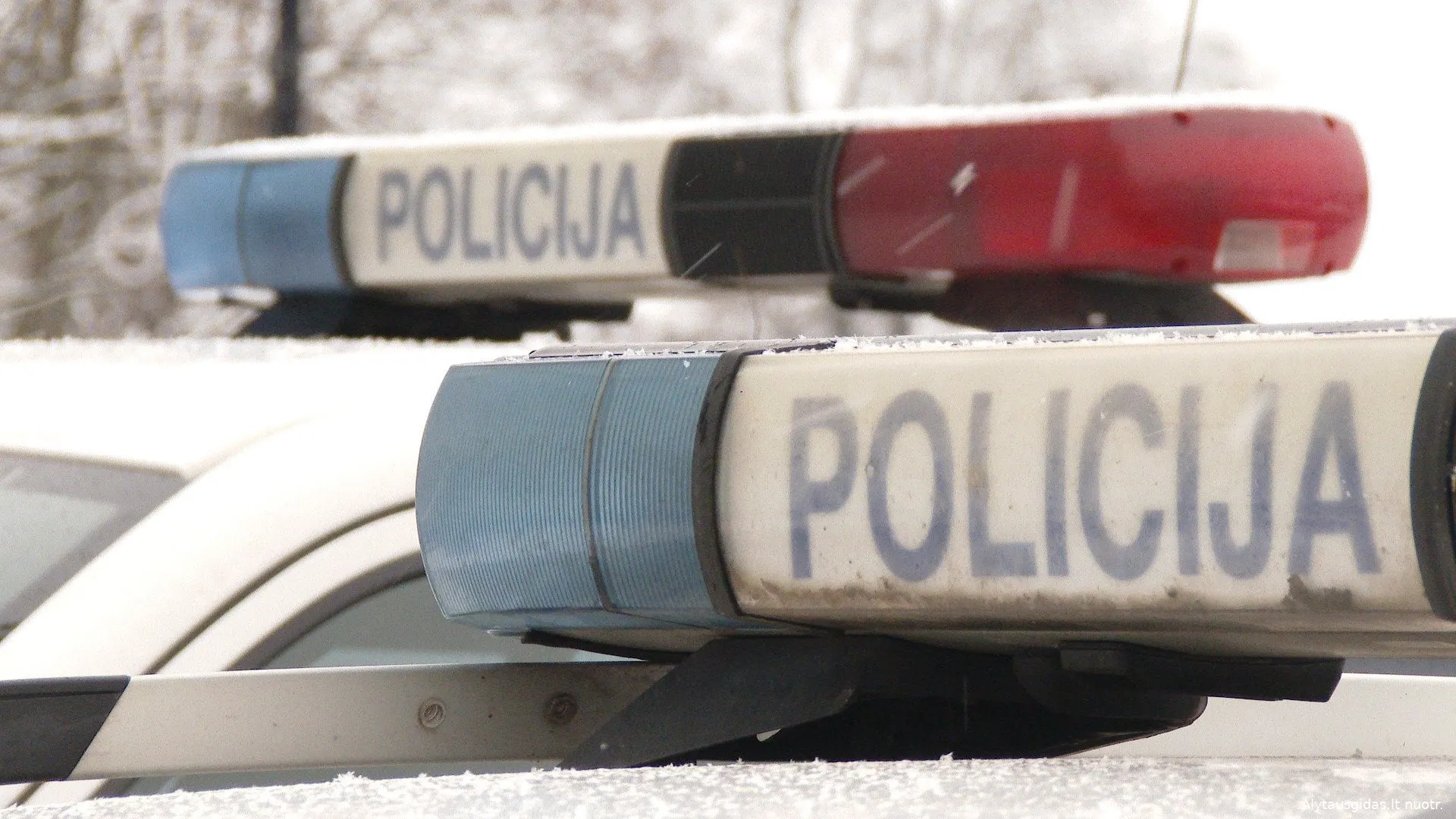 polici150319446 466198447763271 4243808327089660433 n