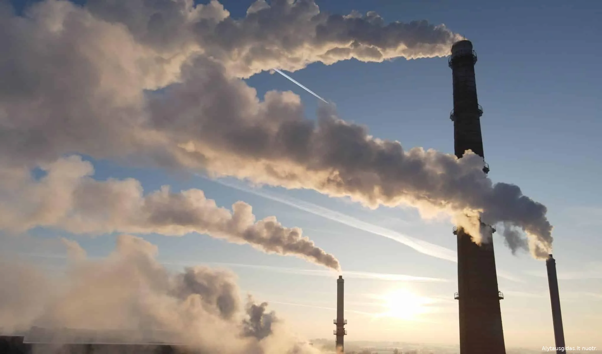 silum139508875 685183619030518 1414023129575952732 n