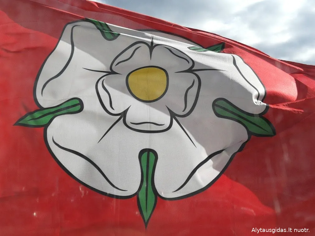 velalimg 20190322 094225 1