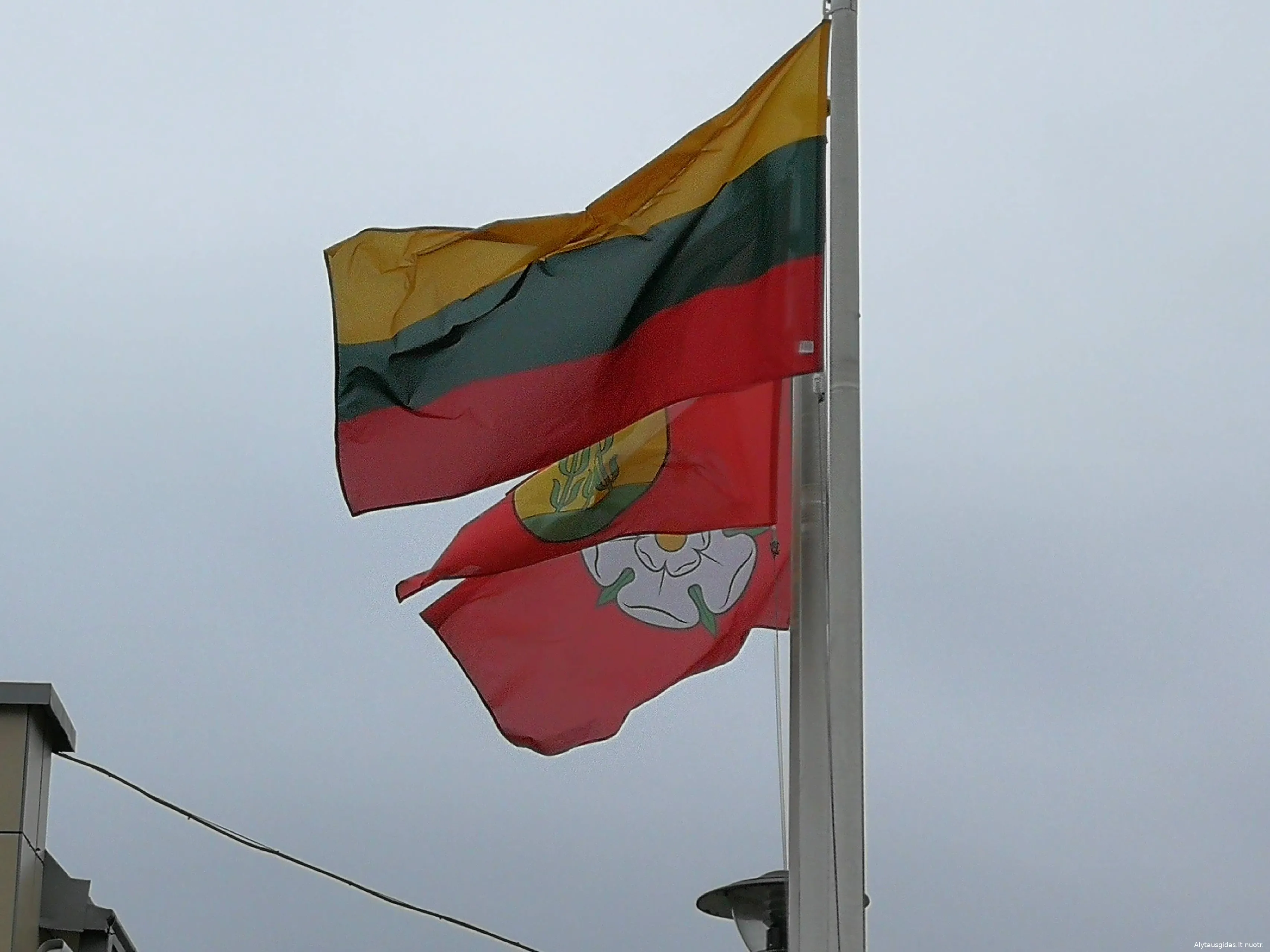 velimg 20190317 160855