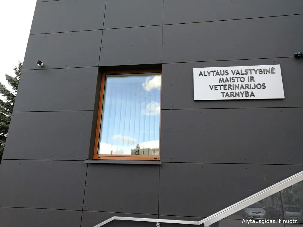 vmvtimg 20190318 164948