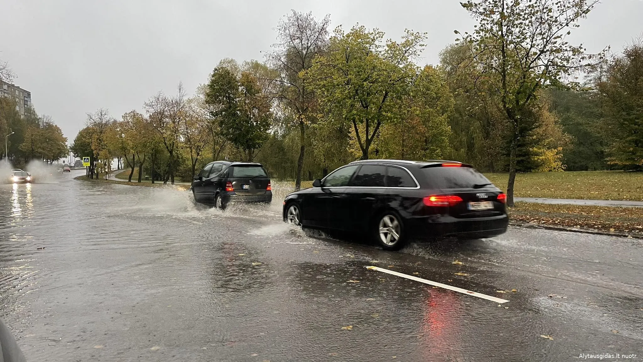 zuv394832664 344106558088230 6205387664148871713 n