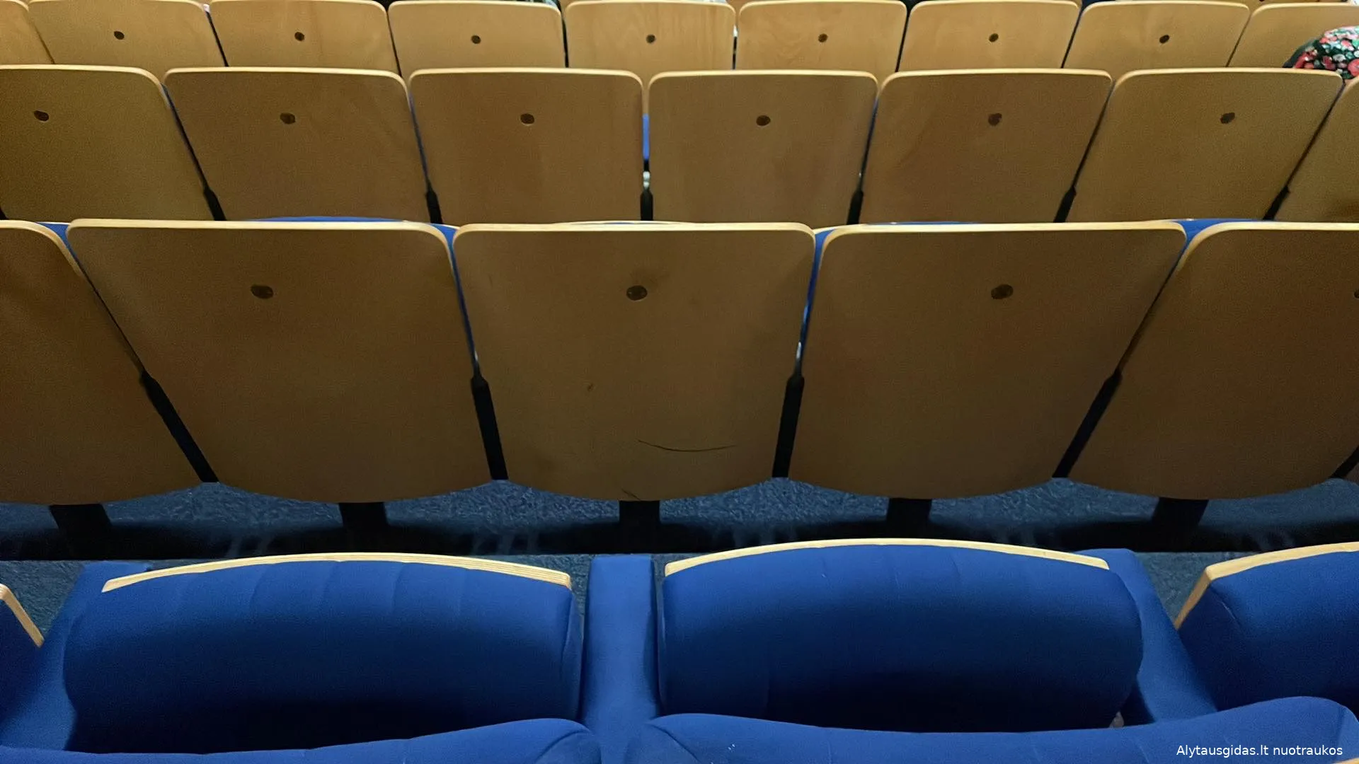 386875541 726400556169156 971657834108244587 n