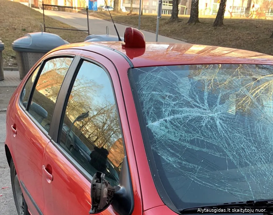 333864541 1415939232576985 8341367973882630561 n 2