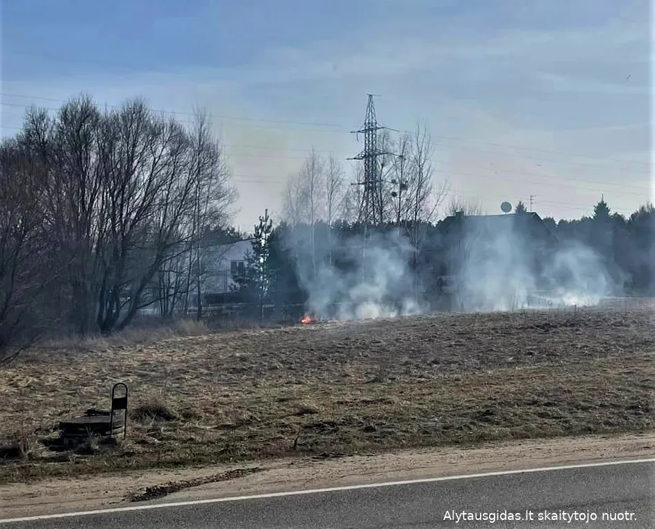 gais336373893 882037576427722 643366764942671516 n