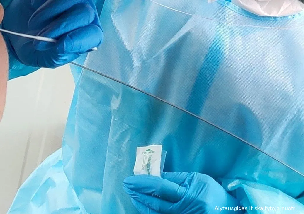 test176472046 289701529453607 5861761752510926911 n