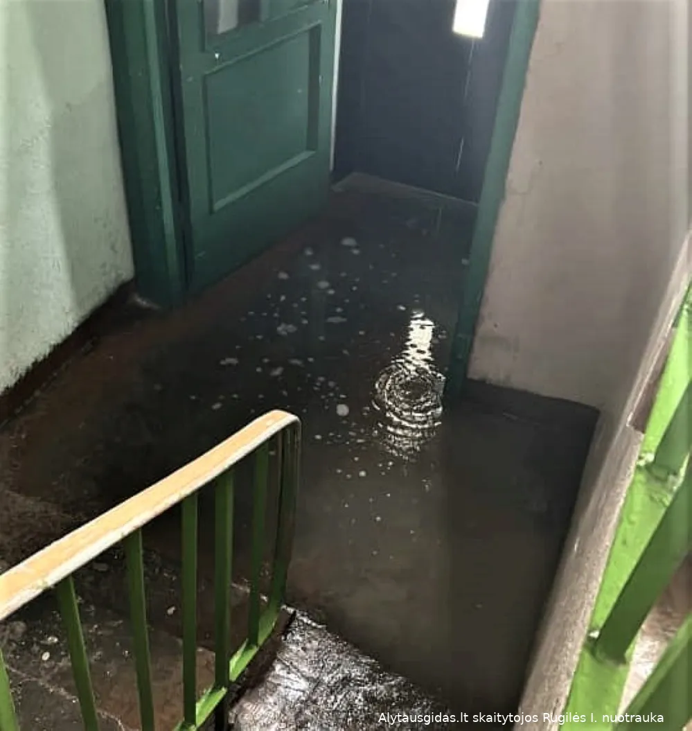 rugiles i357083753 6295872527200060 5662526477706285025 nss