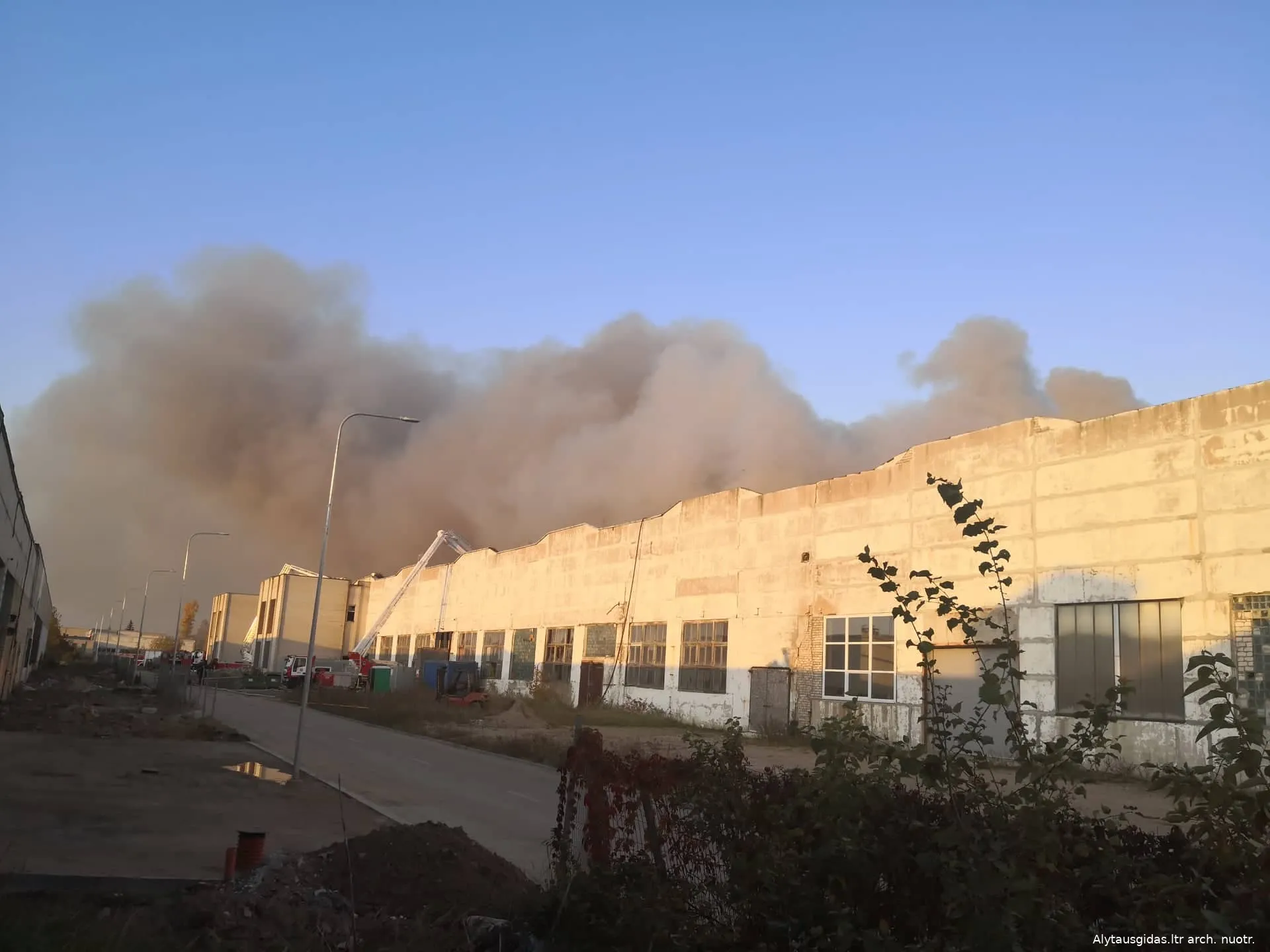 gais72395576 1437038283114053 9131456730243268608 n