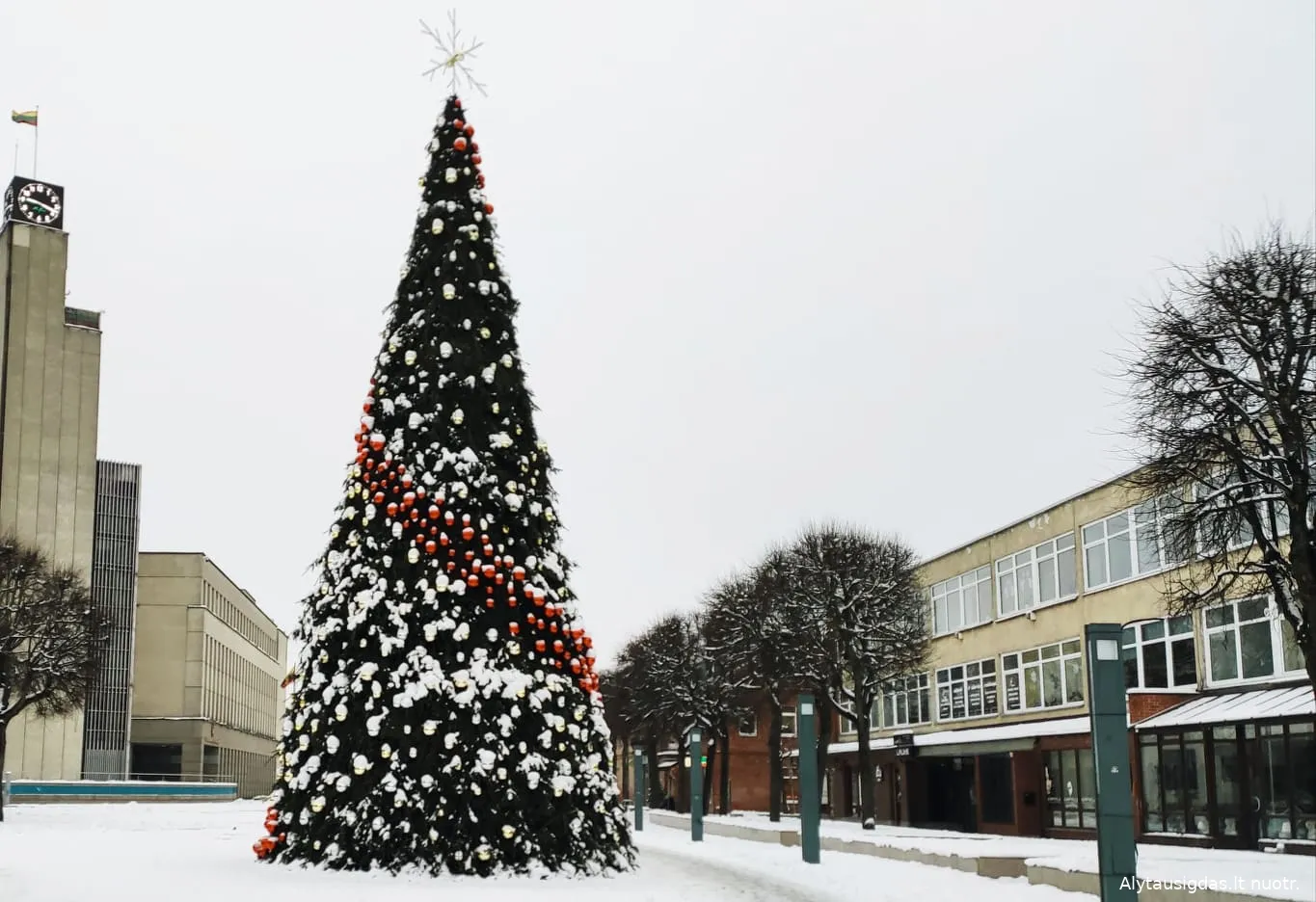 140543655 210876927371523 2618350105113892459 n