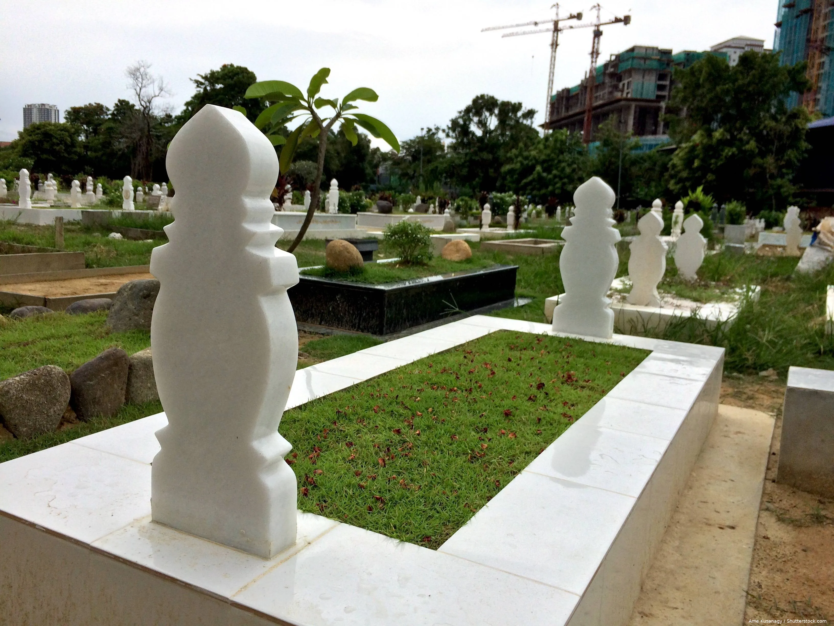 shutterstock_703717516