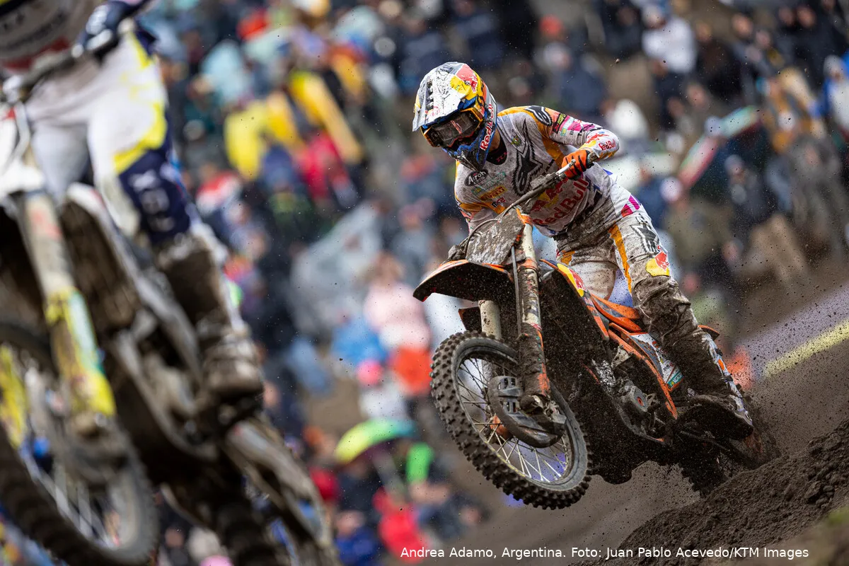 andrea adamo motocross mx2