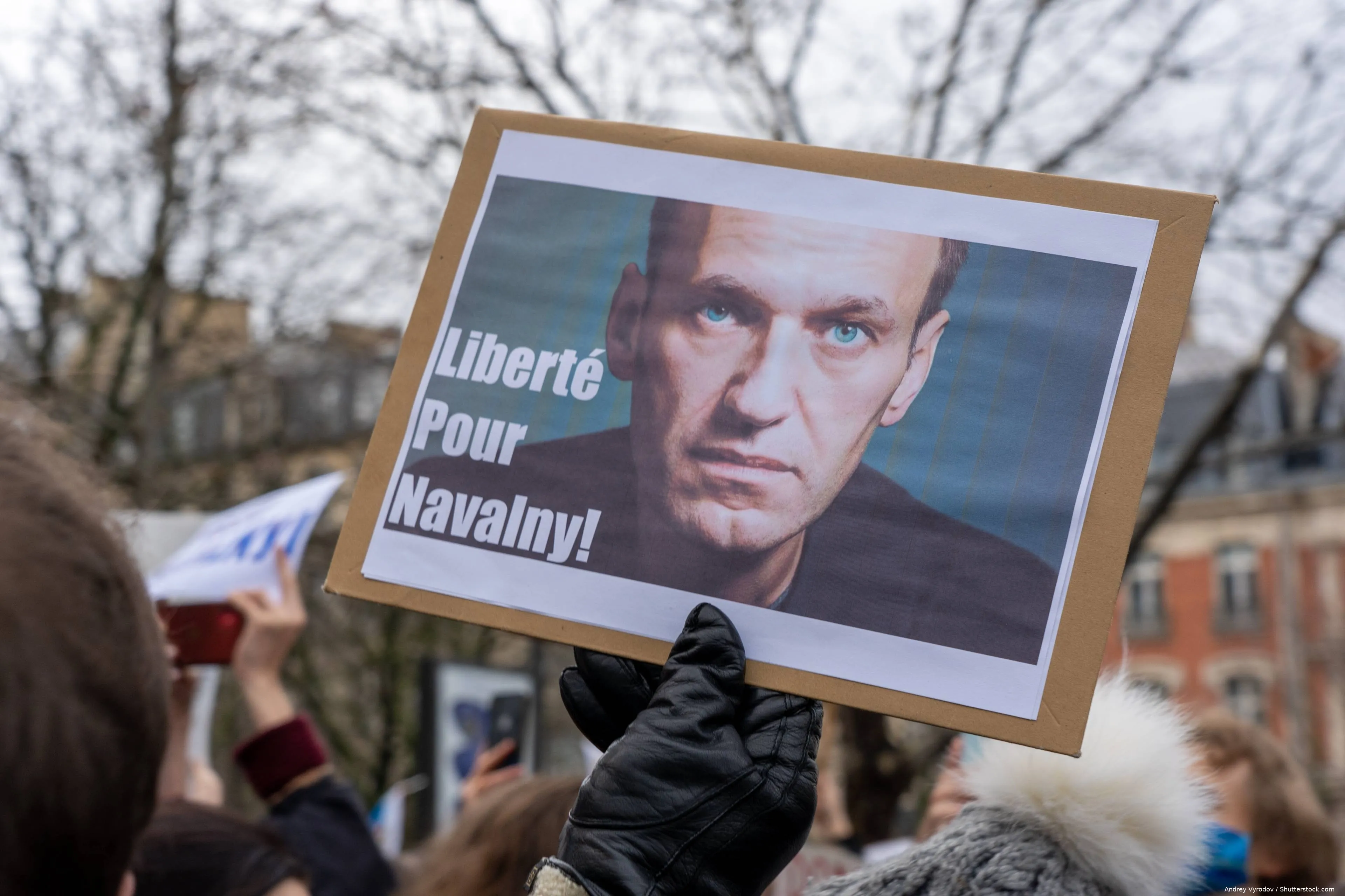 shutterstock_2415649505