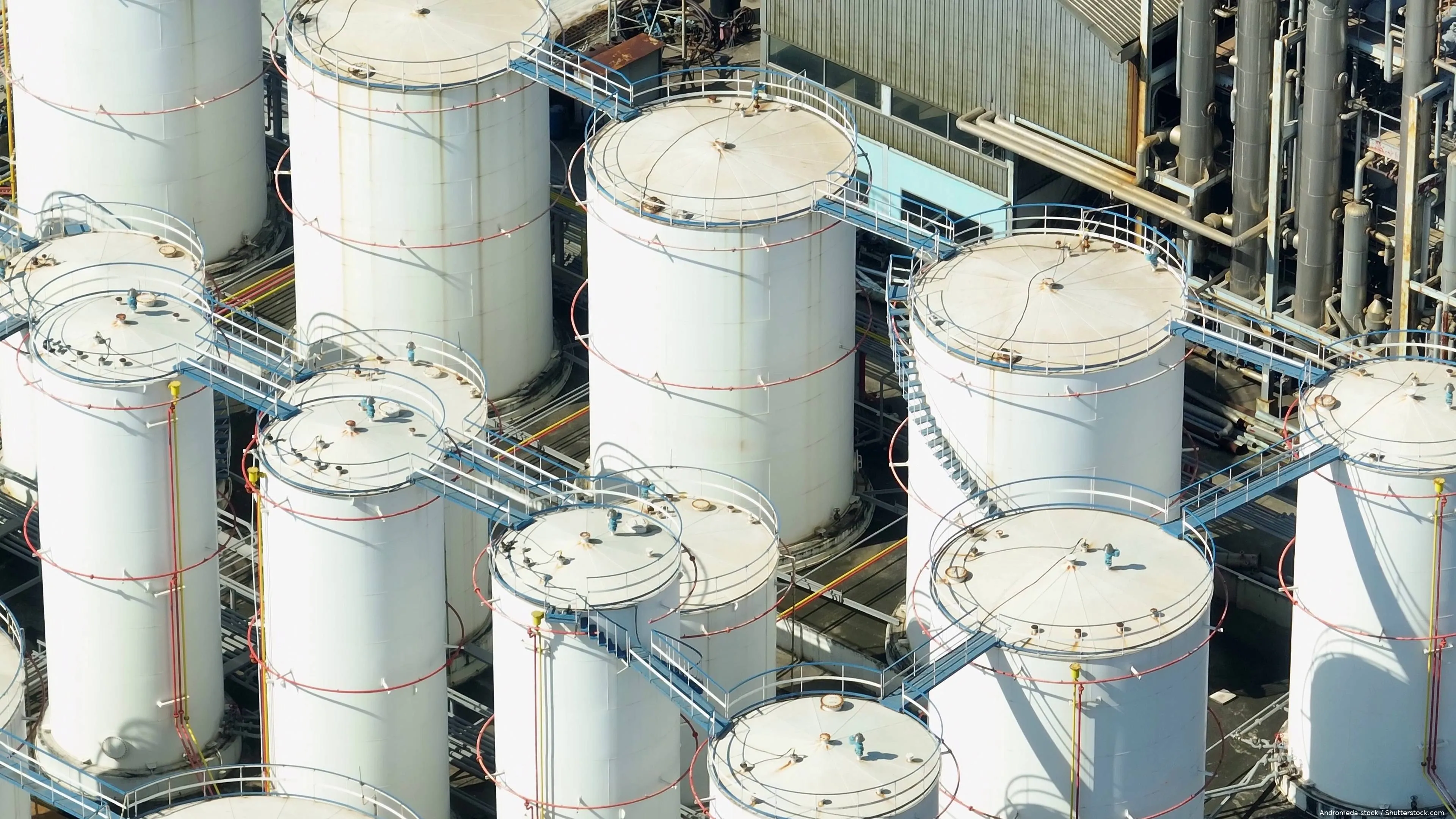 shutterstock_2454991177