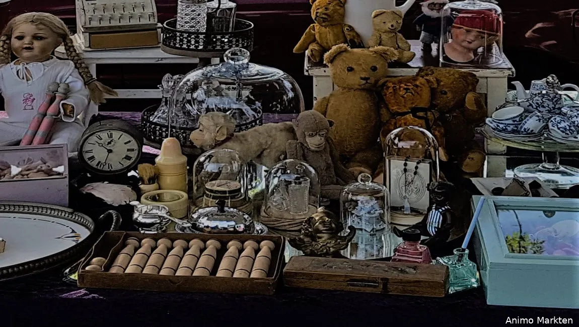 Vlooienmarkt in Sporthal De Dumpel