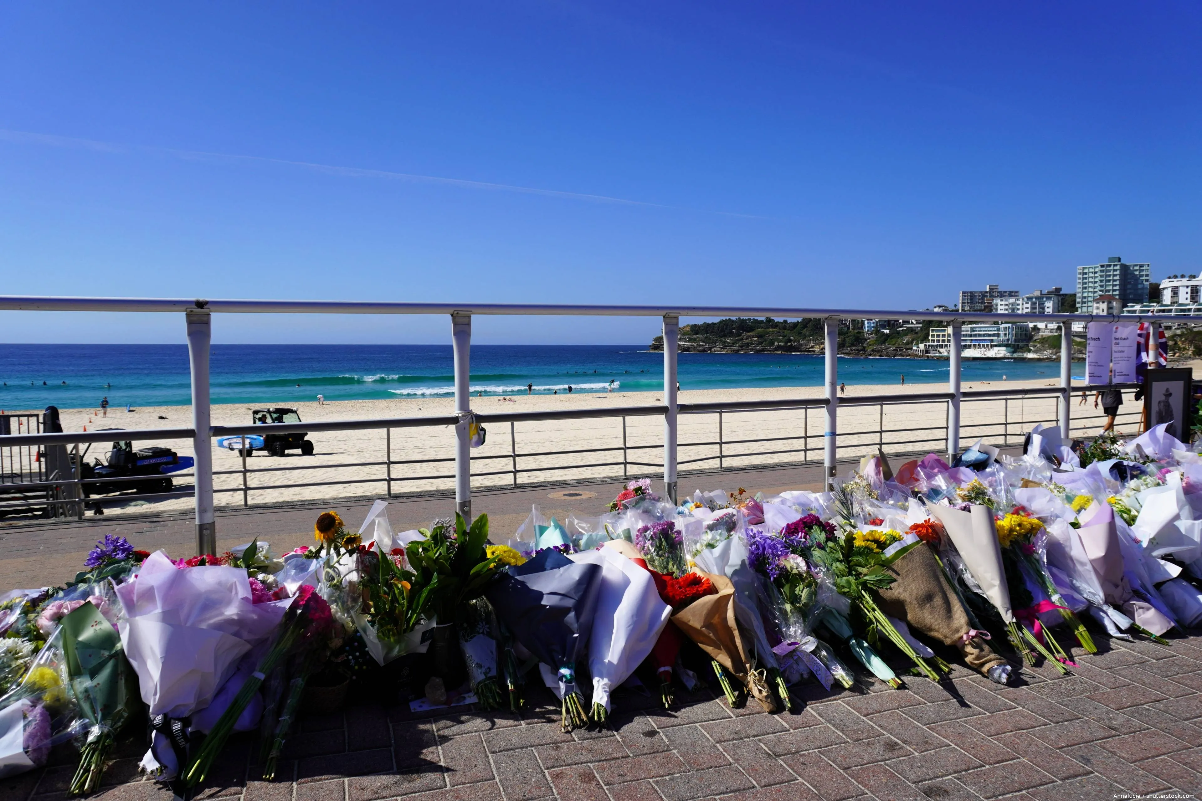 shutterstock_2715463959