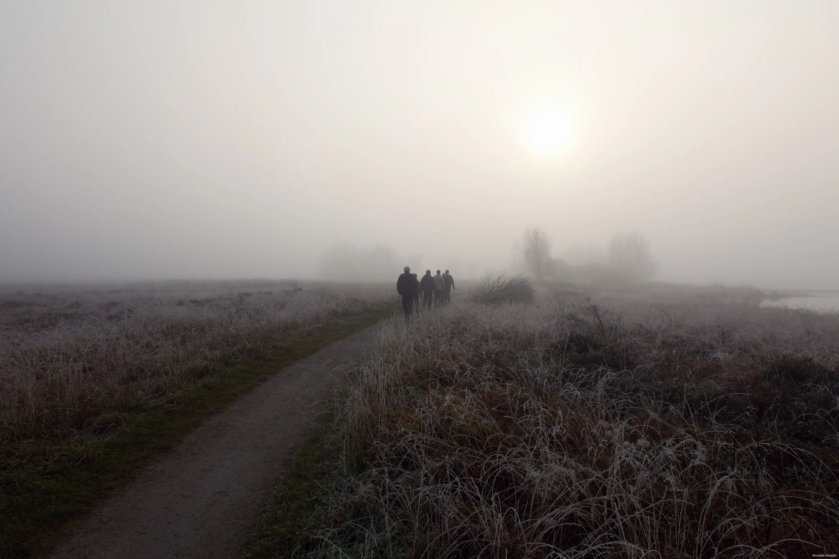 fcdw annekehooijer nordicwalking