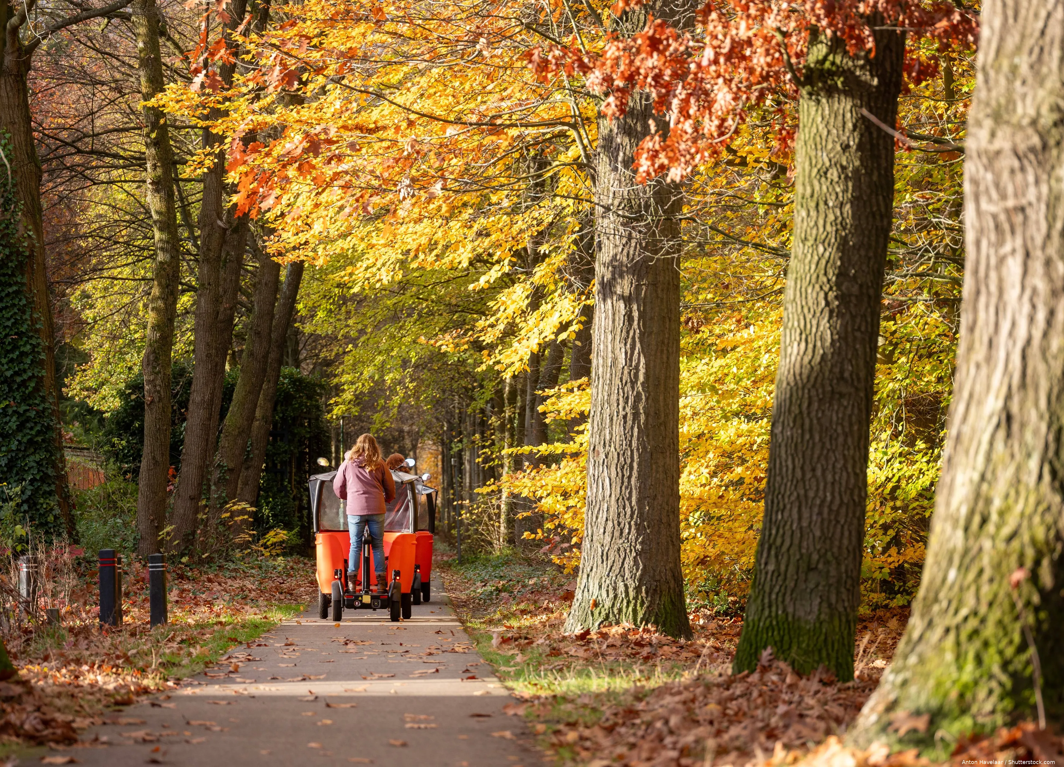 shutterstock_2545779779