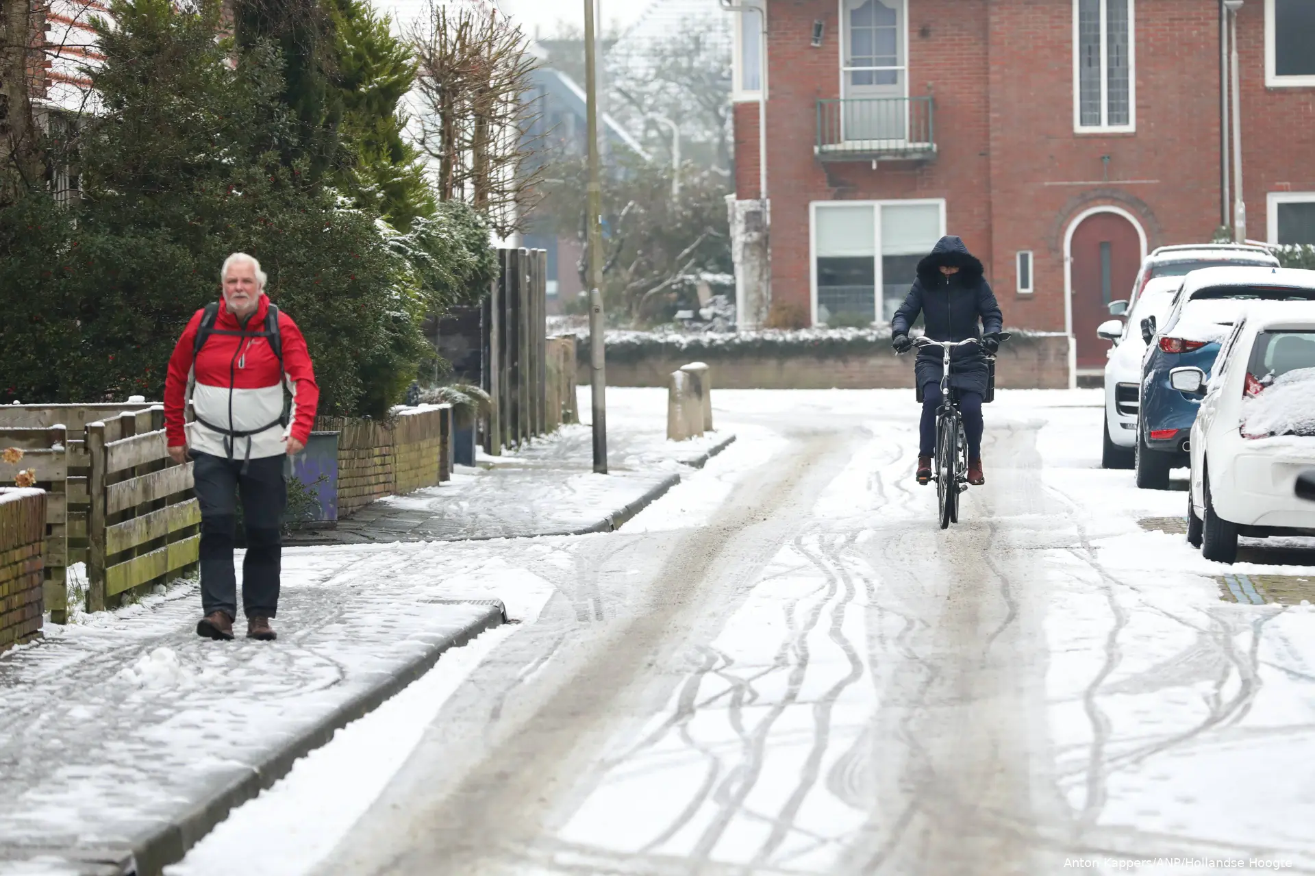 ANP-519681333