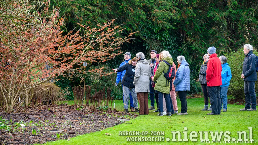 hamamelisfeesten gids arboretumkalmthout