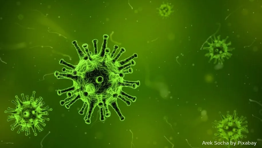 corona virus 1812092 1920 915x518 image by arek socha from pixabay1