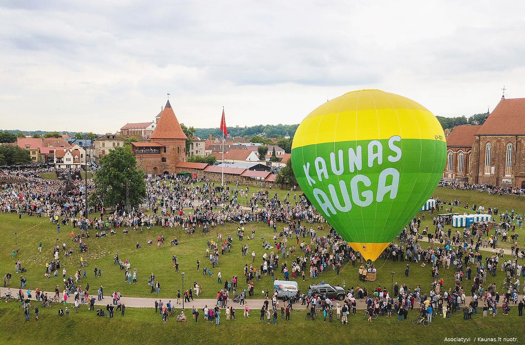 kaunas auga