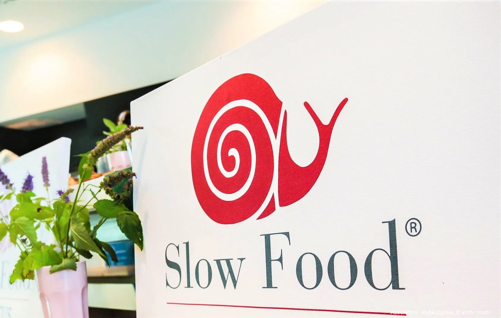 slow food simbolis sraigess