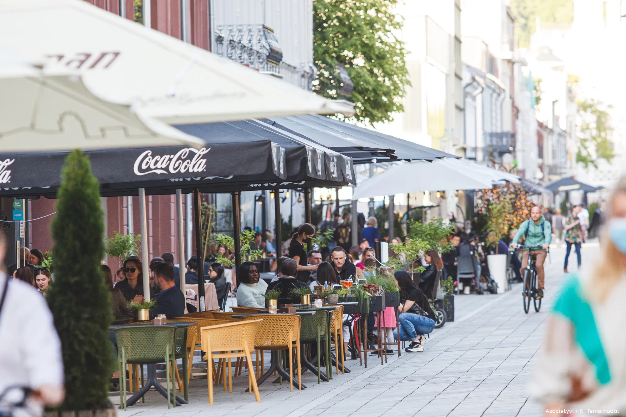 kvk 9599